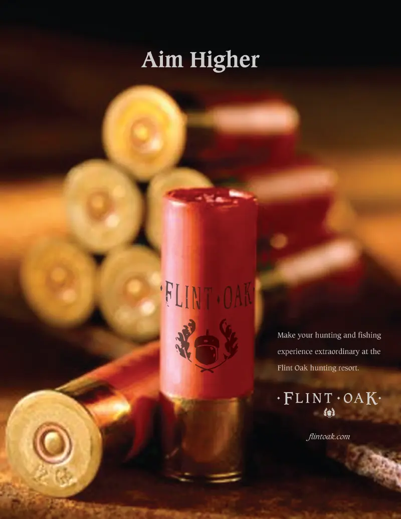 Flint Oak Print Ad - Aim Higher
